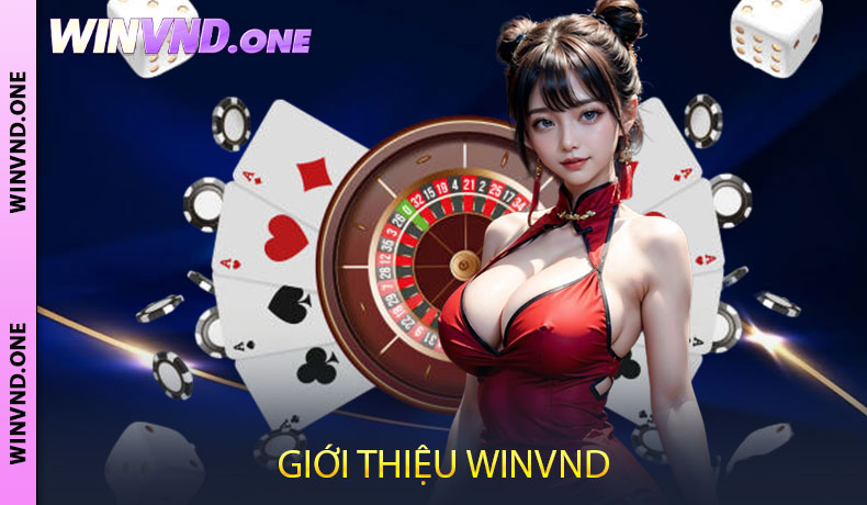 Giới thiệu WINVND