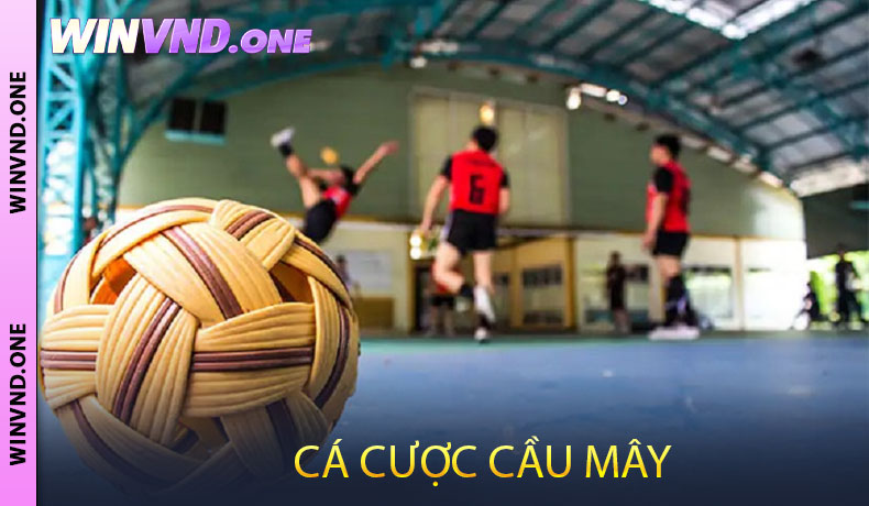 Cá cược cầu mây